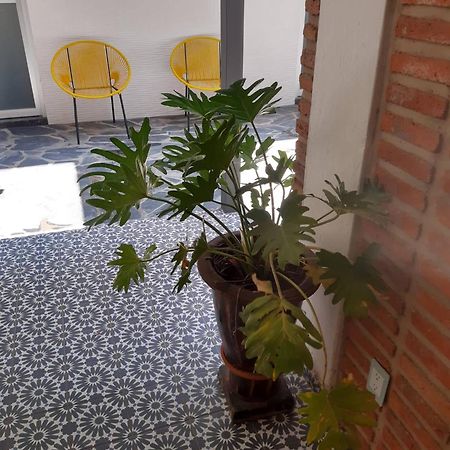 Estudio #5 Casa Fatima, 8 Min Del Centro 1 Persona 과달라하라 외부 사진