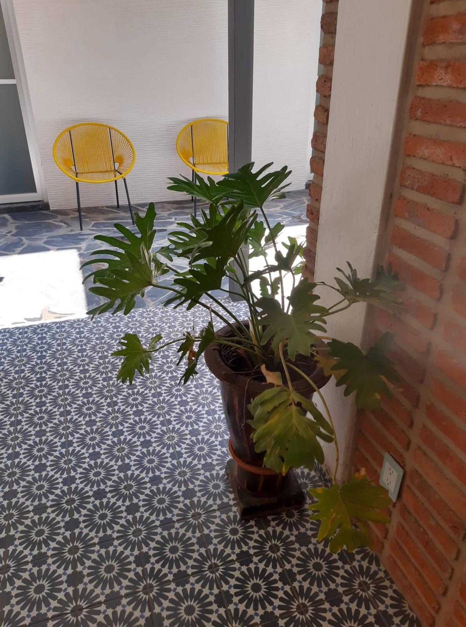 Estudio #5 Casa Fatima, 8 Min Del Centro 1 Persona 과달라하라 외부 사진